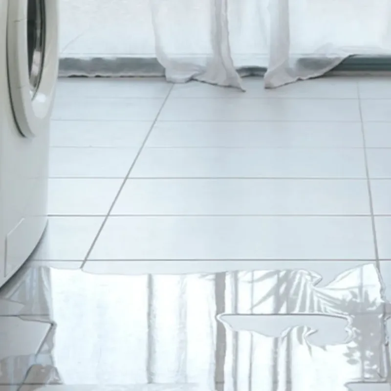 Appliance Leak Cleanup in Madison County, ID